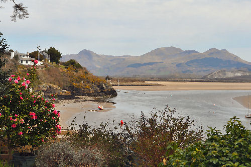 View from the Cottage